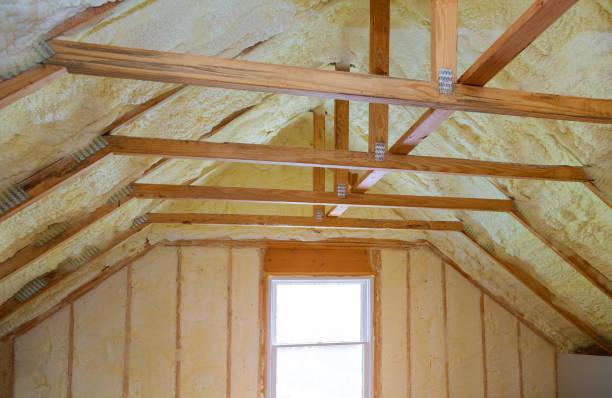 Best Crawl Space Insulation  in Woodland Park, NE