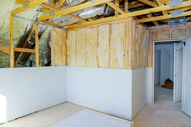 Best Insulation Removal  in Woodland Park, NE
