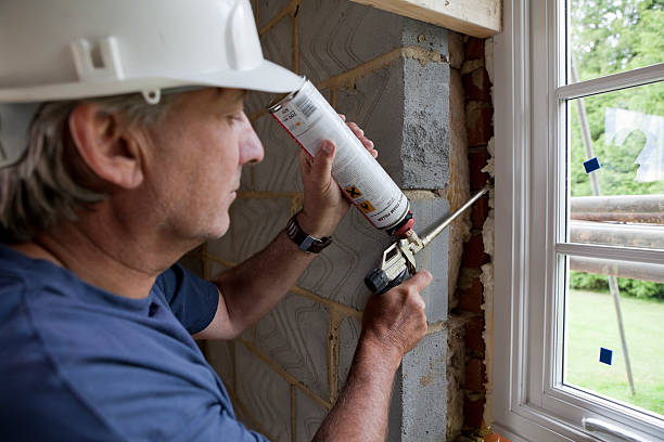 Best Insulation Contractors for Homes  in Woodland Park, NE