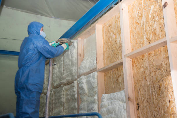 Professional Insulation Contractor in Woodland Park, NE